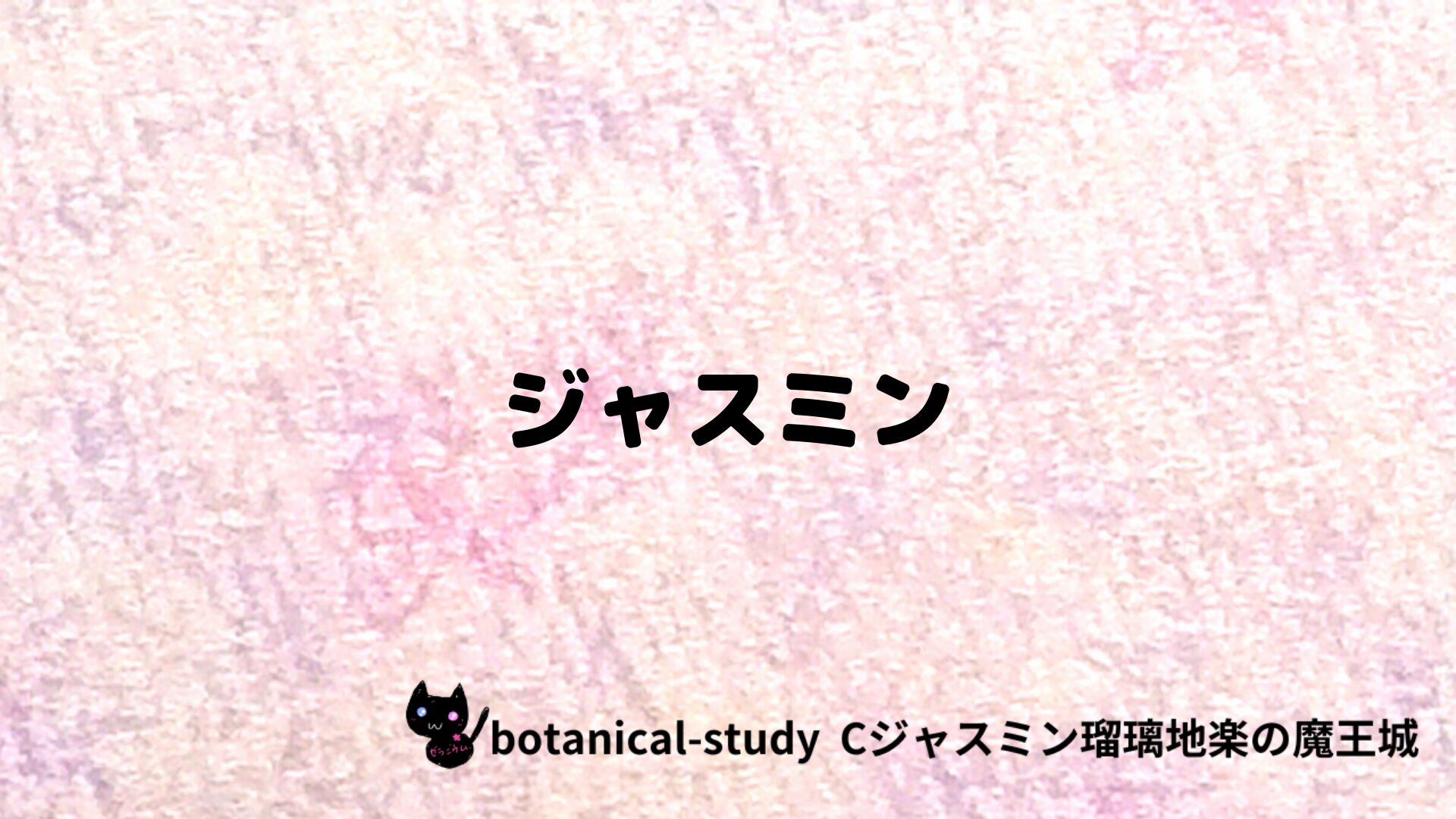 ジャスミンのアロマハーブプチ辞典クイズ用アイキャッチ＠botanical-study/ハーブ