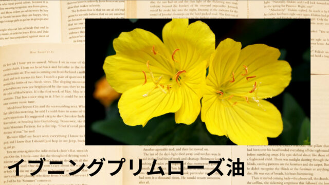イブニングプリムローズ油:プチ辞典
