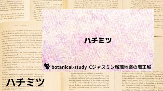 ハチミツ：プチ辞典