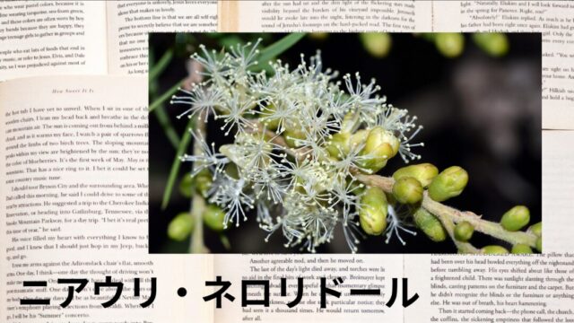 ニアウリ・ネロリドール:プチ辞典