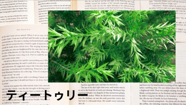 ティートゥリー：プチ辞典