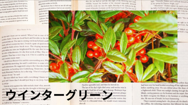 ウインターグリーン:プチ辞典