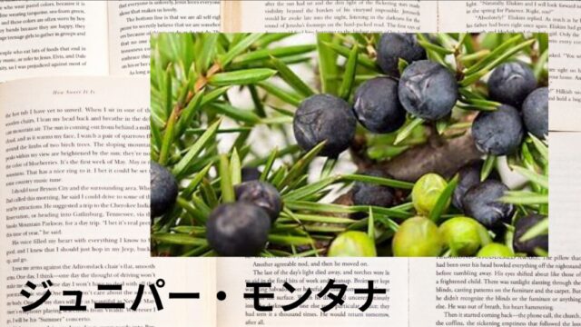 ジュニパー・モンタナ：プチ辞典