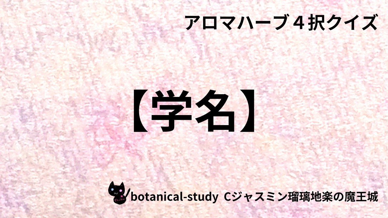 00957【学名】「Curcuma longa」が示すハーブ