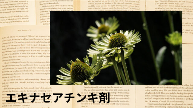 エキナセアチンキ剤：プチ辞典
