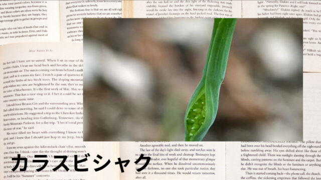 カラスビシャク：プチ辞典
