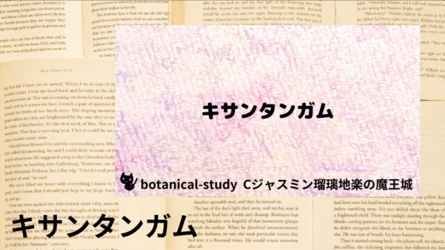 キサンタンガム:プチ辞典