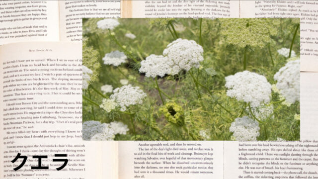 クエラ：プチ辞典