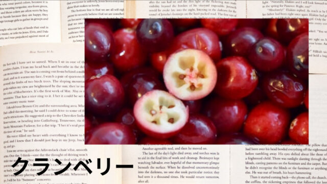 クランベリー：プチ辞典