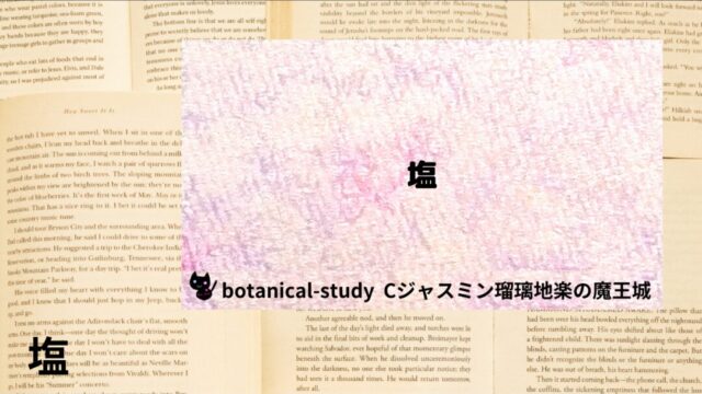 塩：プチ辞典