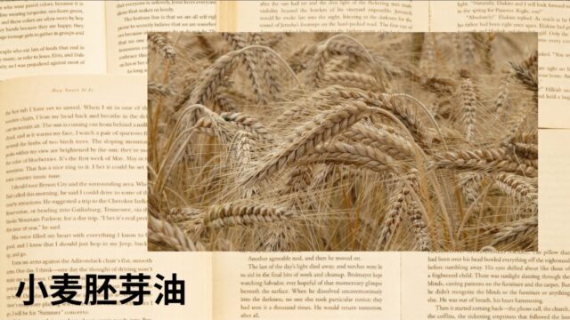 小麦胚芽油:プチ辞典