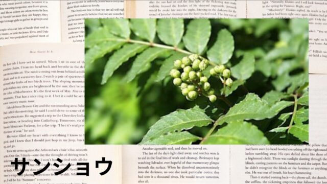 サンショウ：プチ辞典