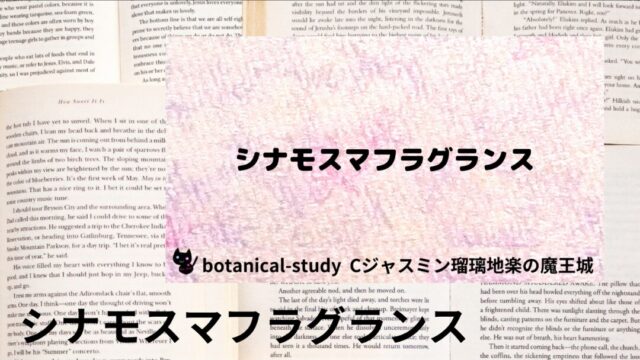 シナモスマ・フラグランス：プチ辞典