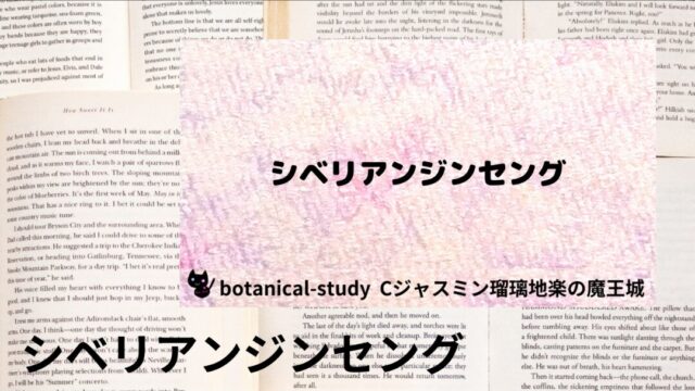 シベリアンジンセング：プチ辞典
