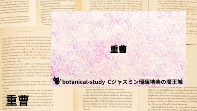 重曹:プチ辞典
