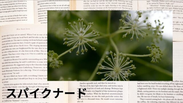 スパイクナード：プチ辞典