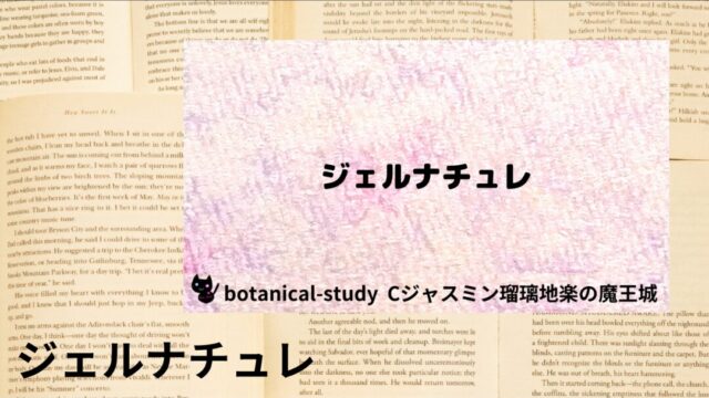 ジェルナチュレ：プチ辞典