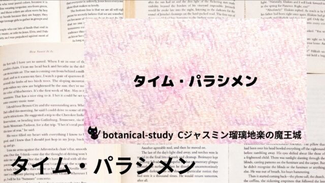 タイム・パラシメン:プチ辞典