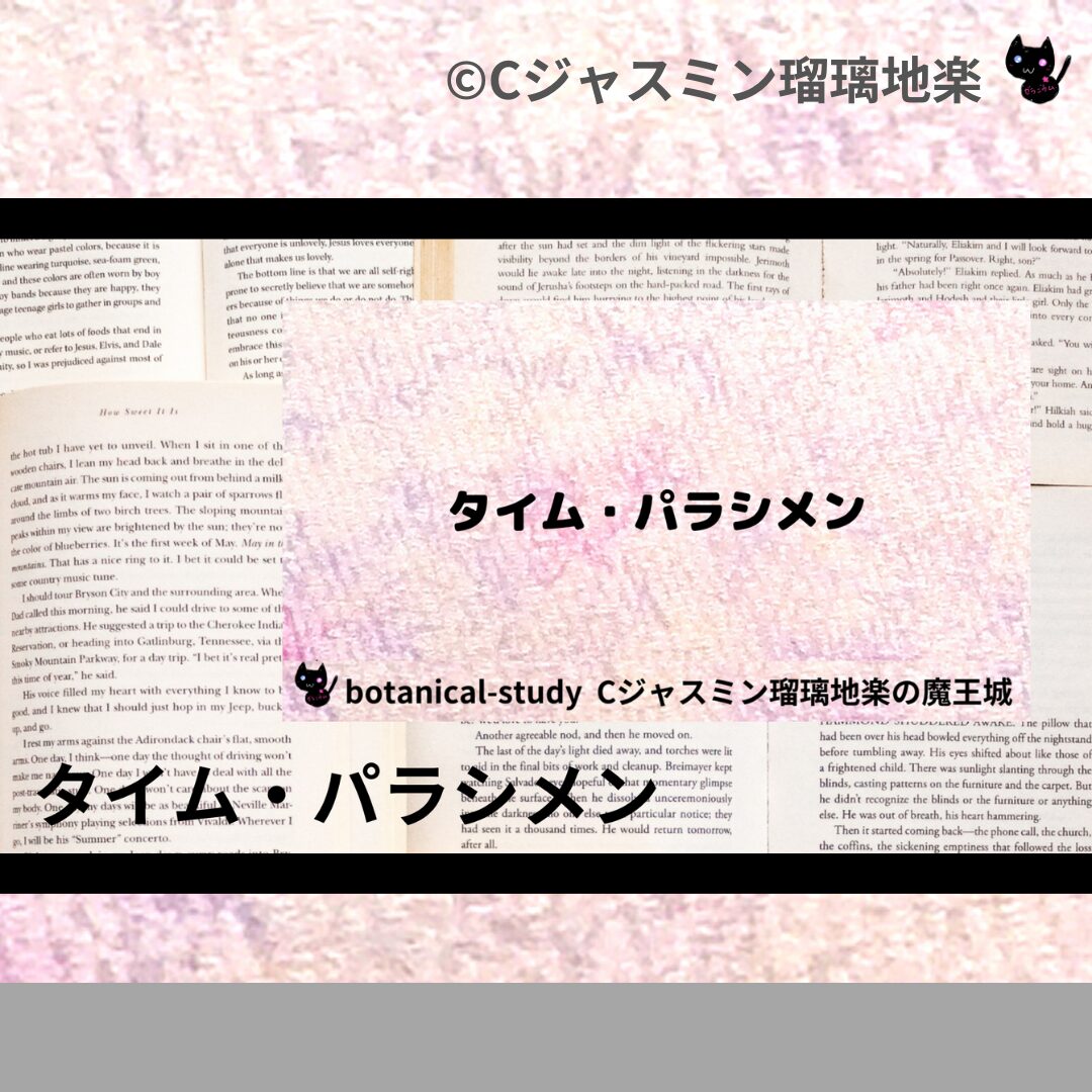 タナセタムのアロマハーブプチ辞典クイズ用アイキャッチ@botanical-study