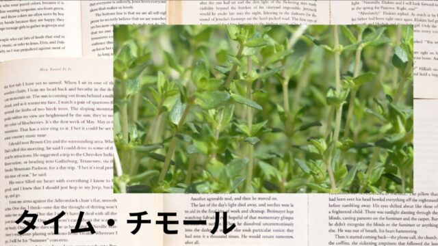 タイム・チモール:プチ辞典