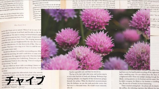 チャイブ：プチ辞典