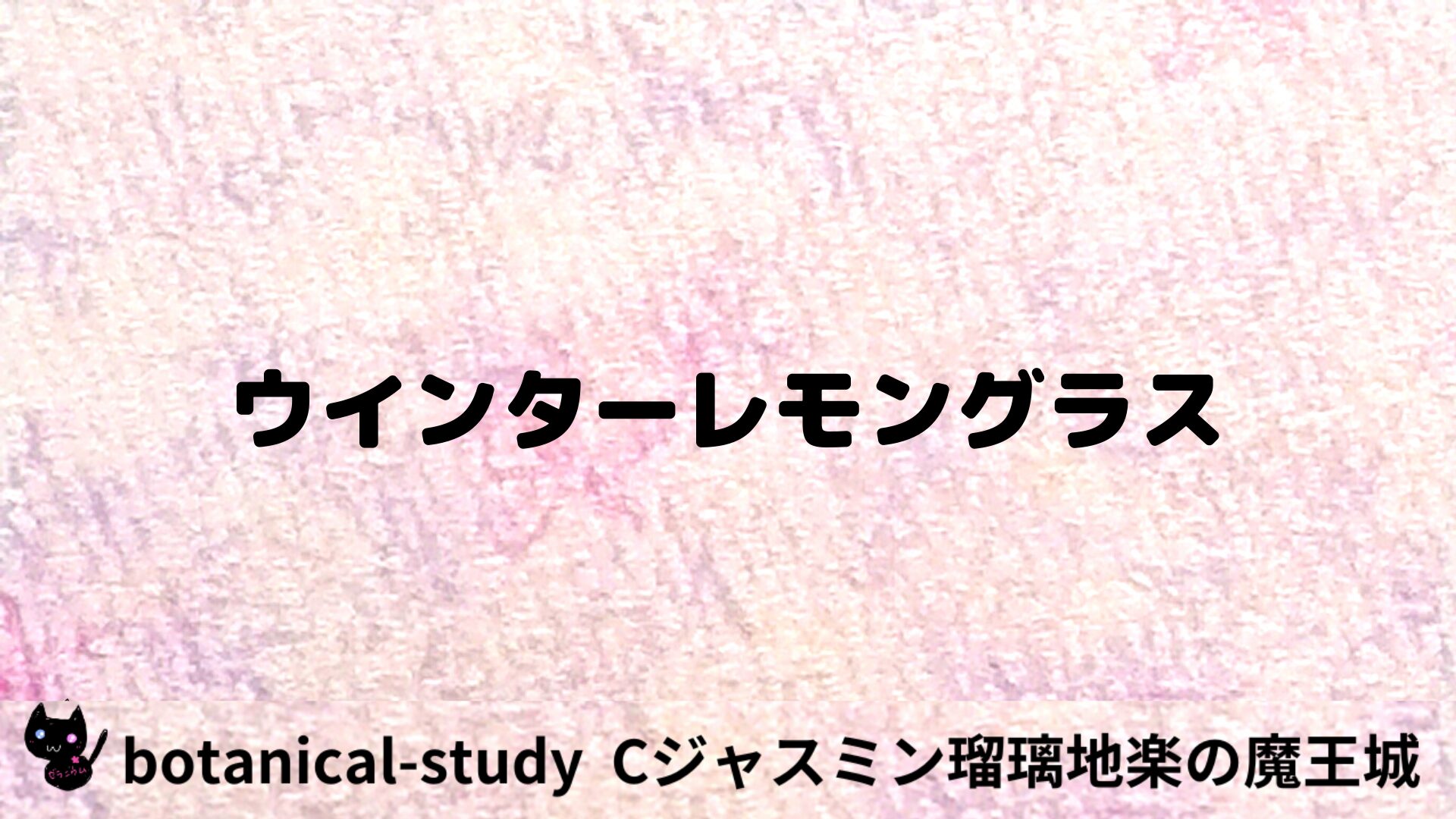 ウインターレモングラスのアロマハーブプチ辞典用アイキャッチ＠botanical-study