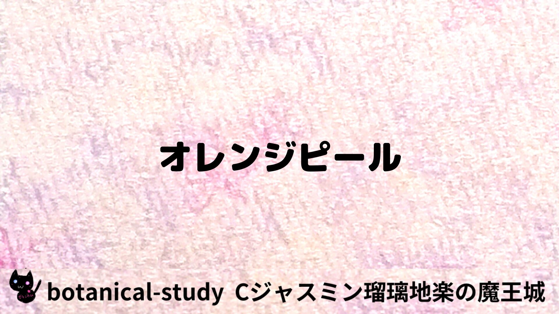 オレンジピールのアロマハーブプチ辞典用アイキャッチ＠botanical-study/ハーブ