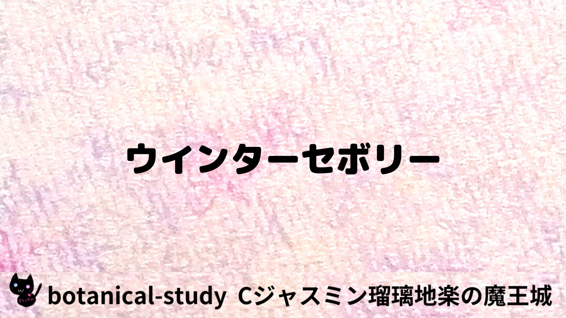 ウインターセボリーのアロマハーブプチ辞典用アイキャッチ＠botanical-study/ハーブ