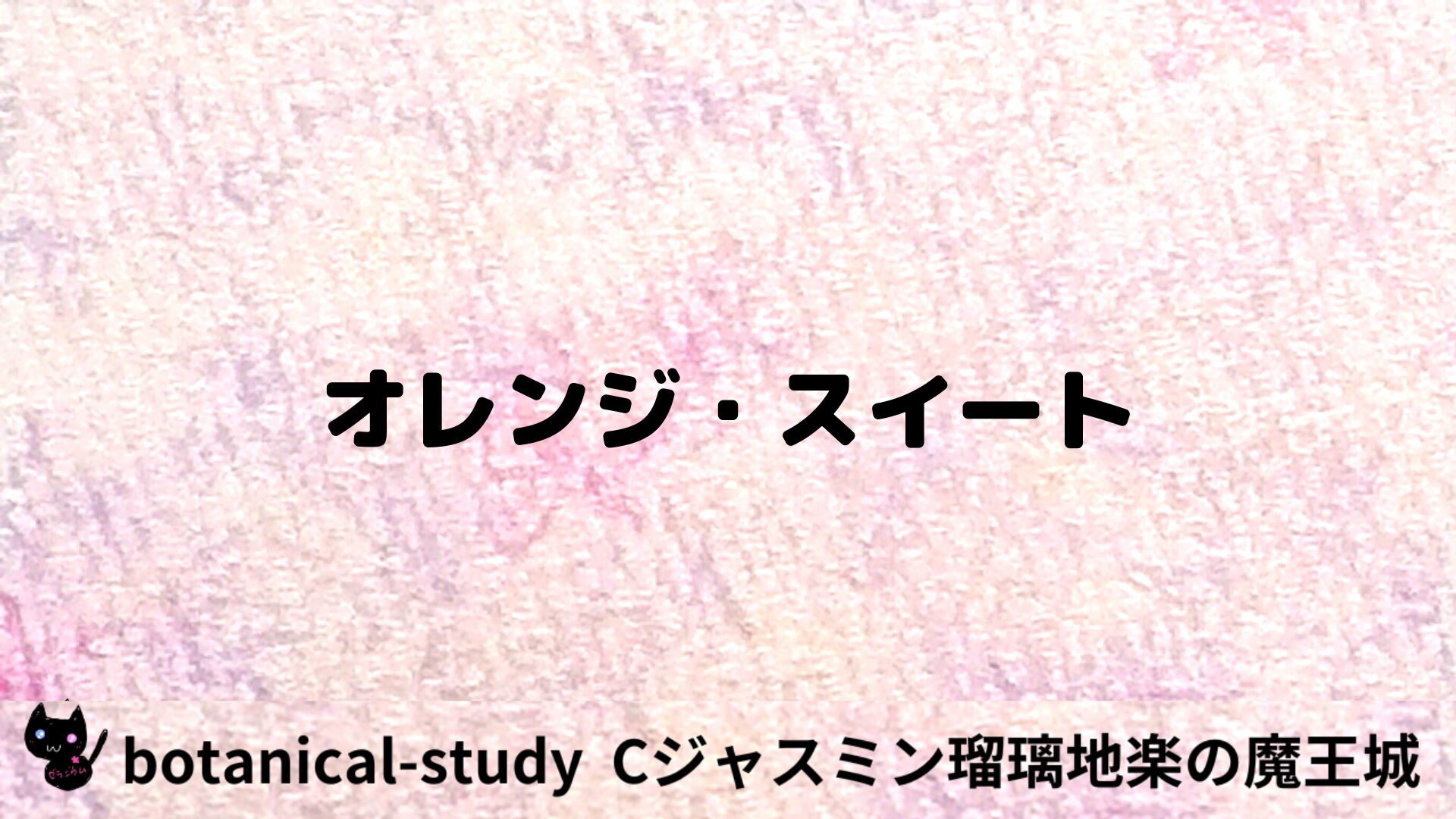 オレンジ・スイートのアロマハーブプチ辞典用アイキャッチ＠botanical-study