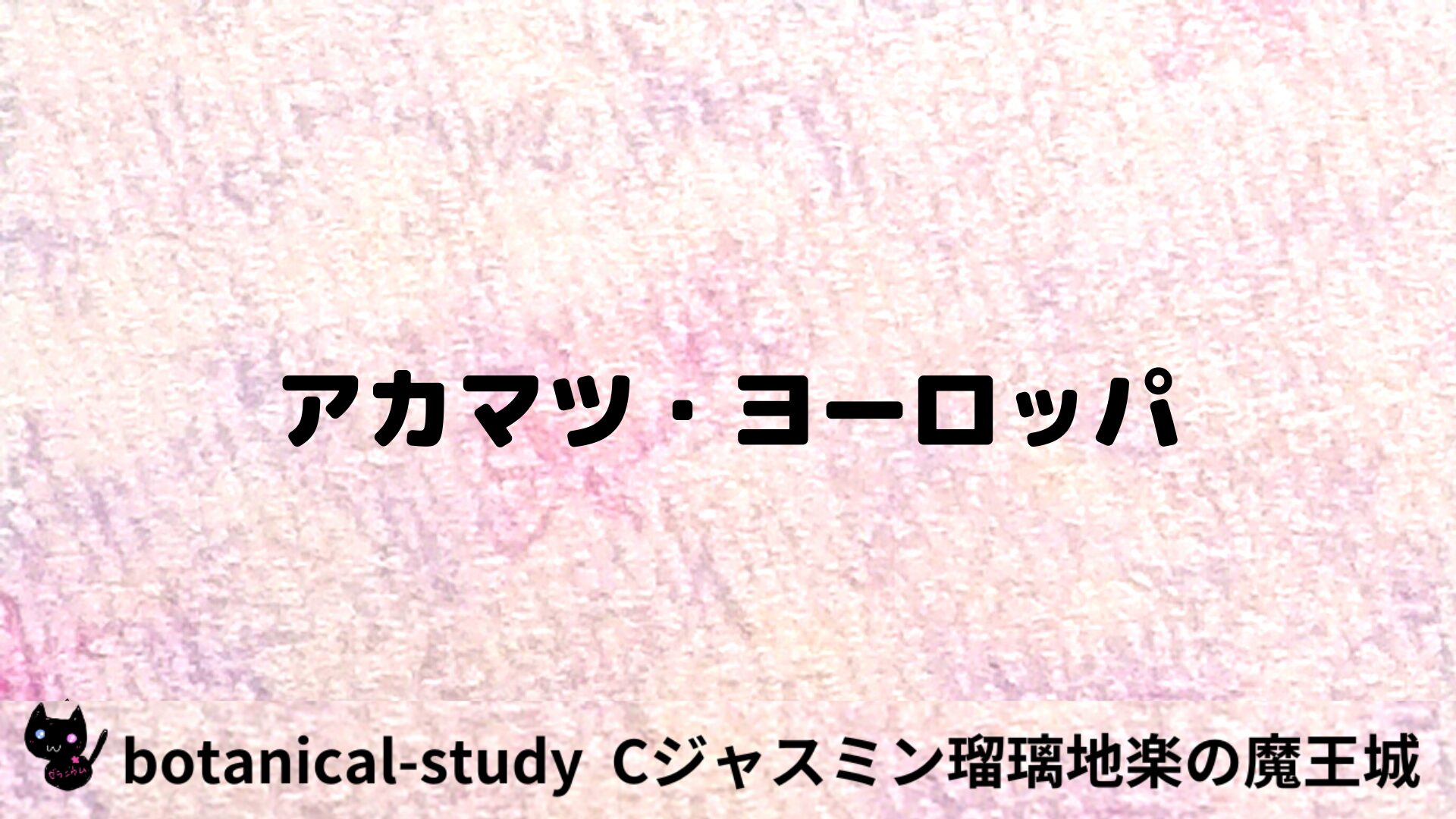 アカマツ・ヨーロッパのアロマハーブプチ辞典用アイキャッチ＠botanical-study