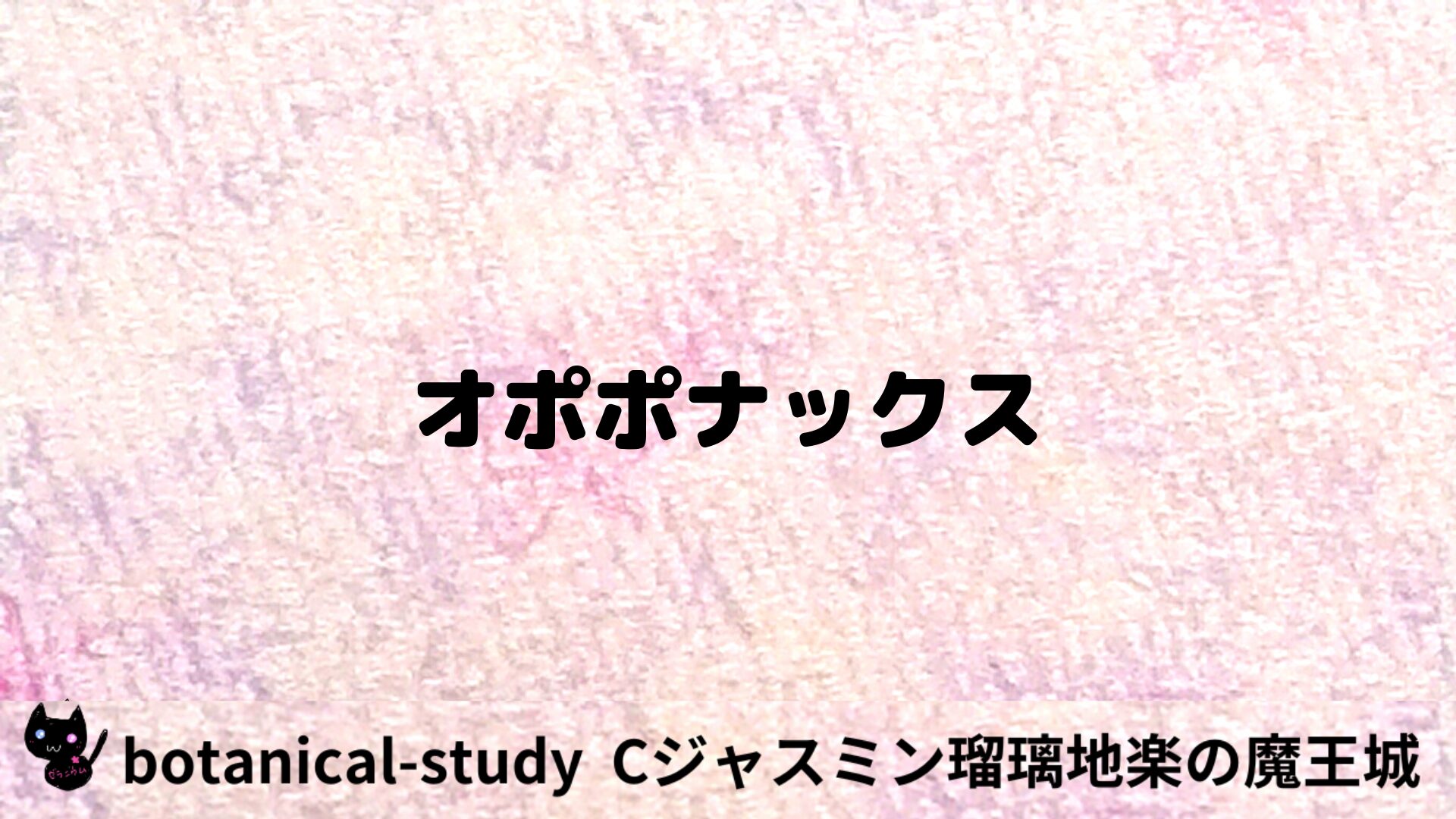 オポポナックスのアロマハーブプチ辞典用アイキャッチ＠botanical-study