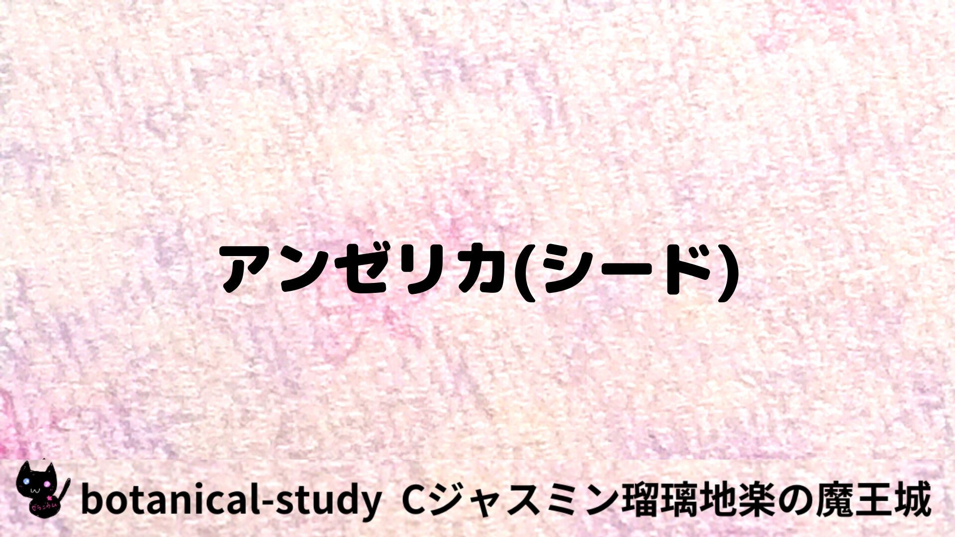 アンゼリカ(シード)のアロマハーブプチ辞典用アイキャッチ＠botanical-study