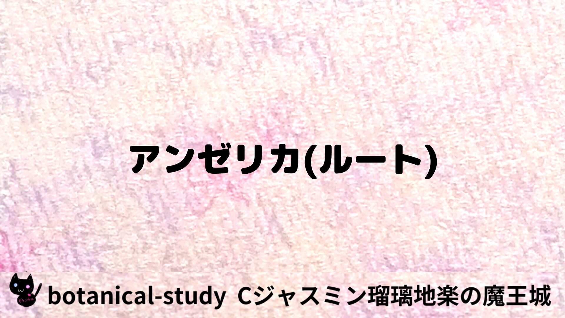 アンゼリカ(ルート)のアロマハーブプチ辞典用アイキャッチ＠botanical-study