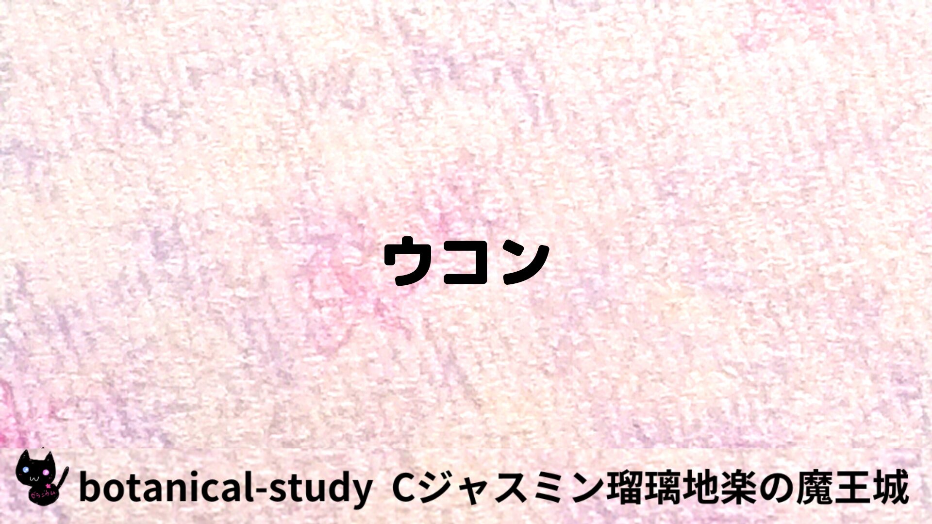 ウコンのアロマハーブプチ辞典用アイキャッチ＠botanical-study/ハーブ