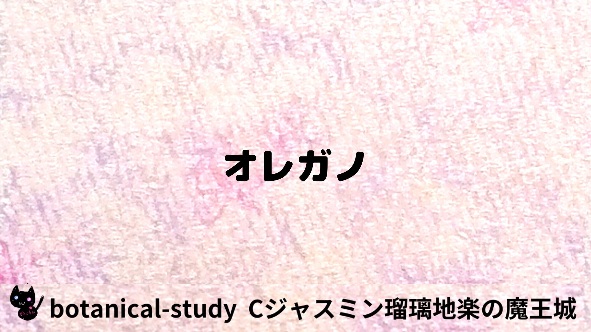 オレガノのアロマハーブプチ辞典用アイキャッチ＠botanical-study/ハーブ