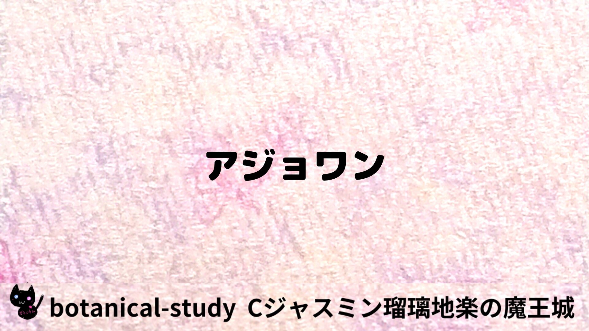 アジョワンのアロマハーブプチ辞典用アイキャッチ＠botanical-study/ハーブ