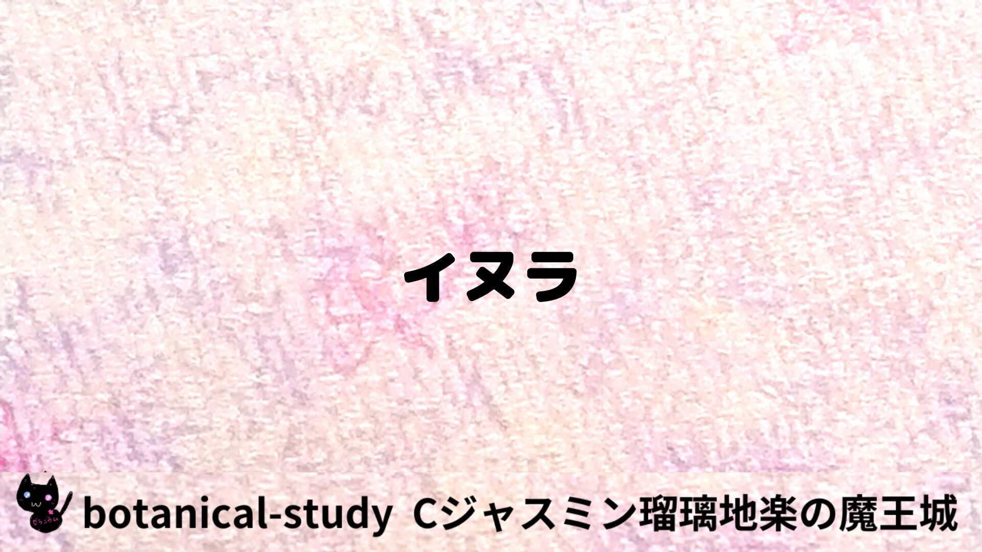 イヌラのアロマハーブプチ辞典用アイキャッチ＠botanical-study