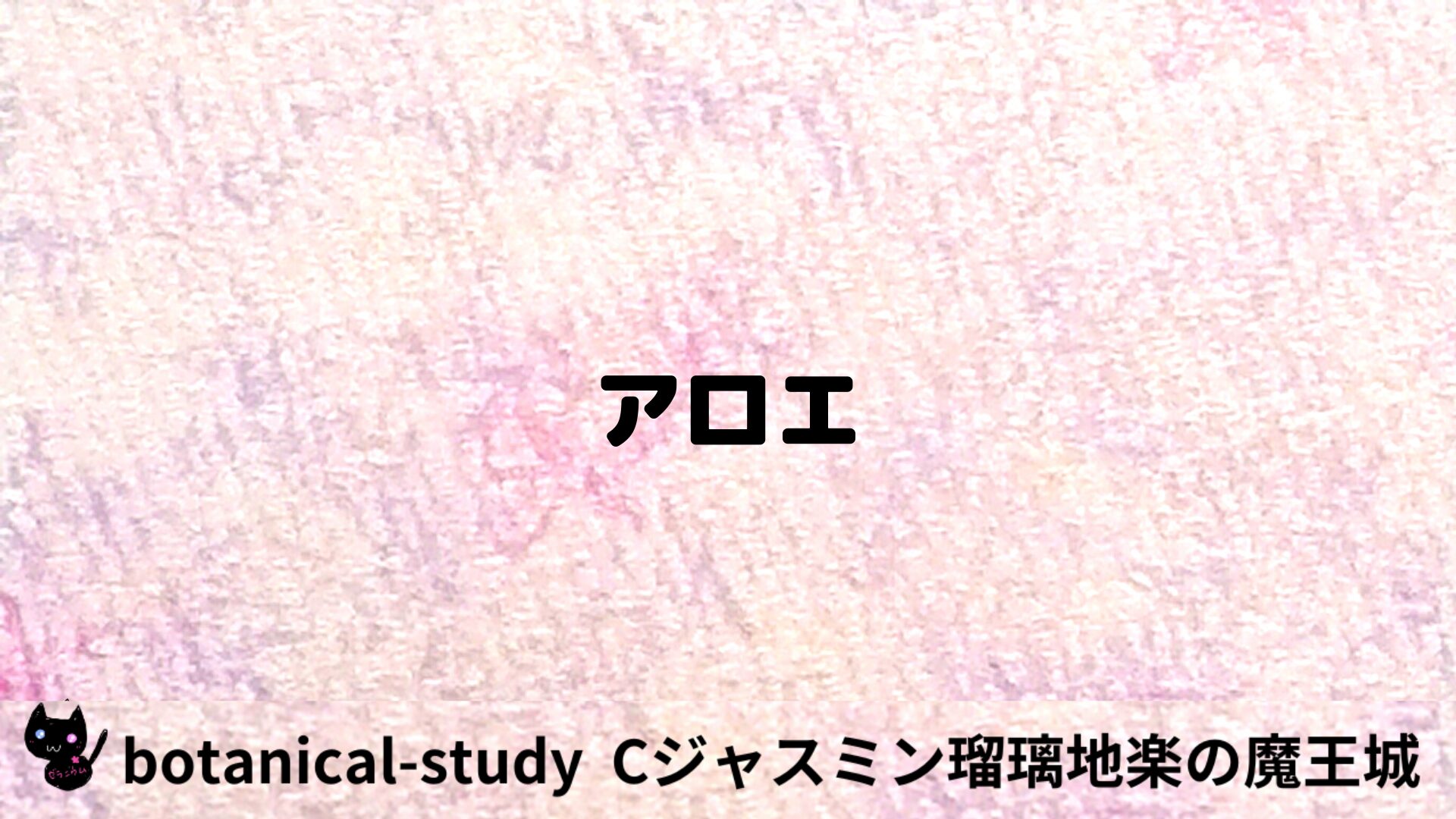 アロエのアロマハーブプチ辞典用アイキャッチ＠botanical-study/ハーブ