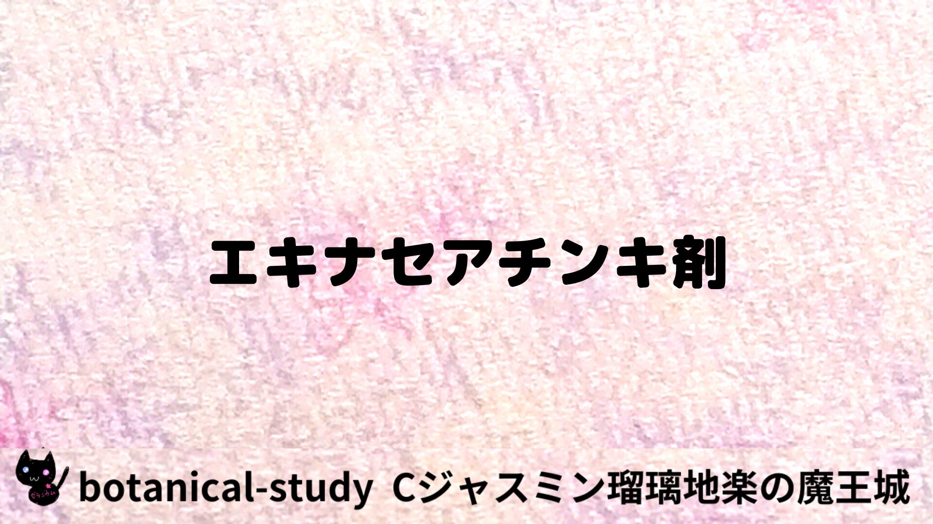 エキナセアチンキ剤のアロマハーブプチ辞典用アイキャッチ＠botanical-study