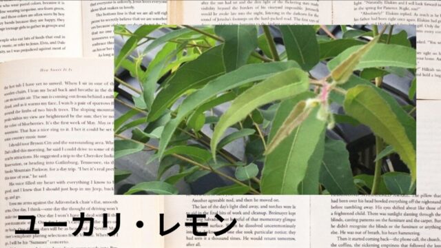 ユーカリ・レモン:プチ辞典