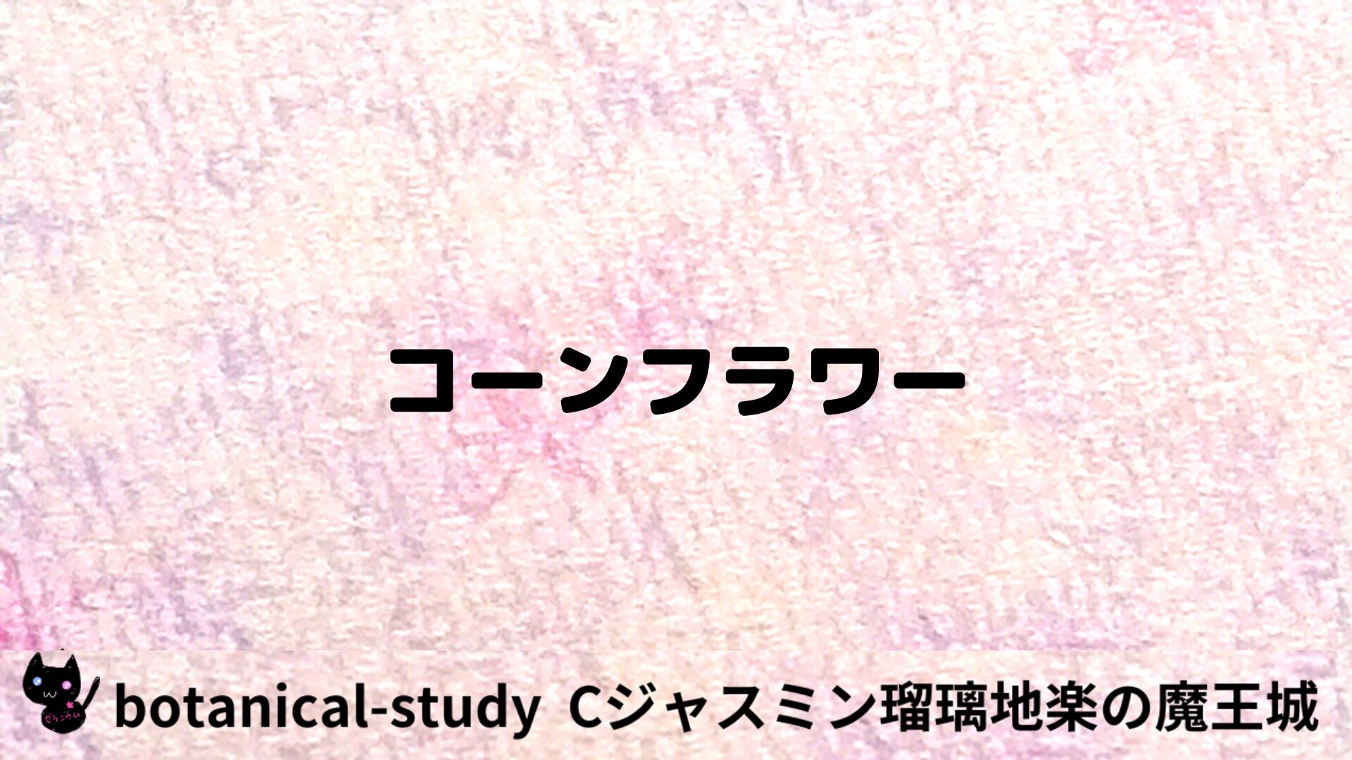 コーンフラワーのアロマハーブプチ辞典用アイキャッチ＠botanical-study/ハーブ