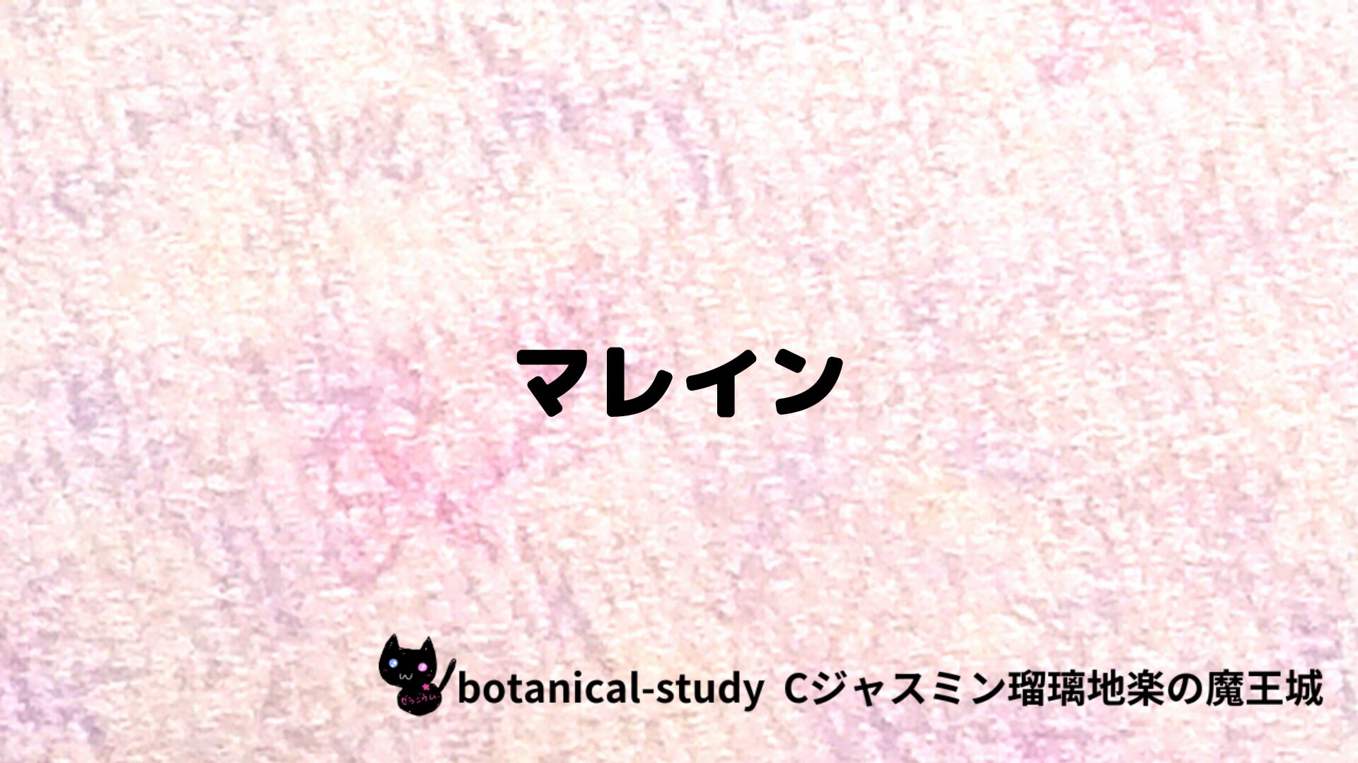 マレインのアロマハーブプチ辞典クイズ用アイキャッチ＠botanical-study/ハーブ