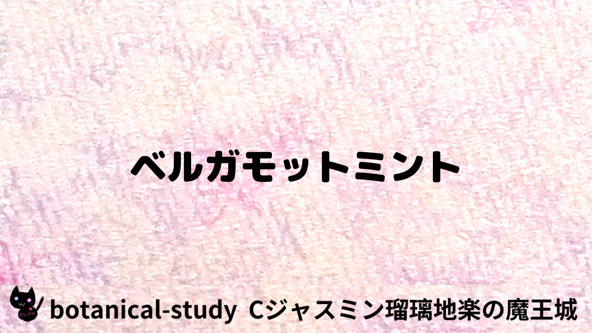 ベルガモットミントのアロマハーブプチ辞典用アイキャッチ＠botanical-study