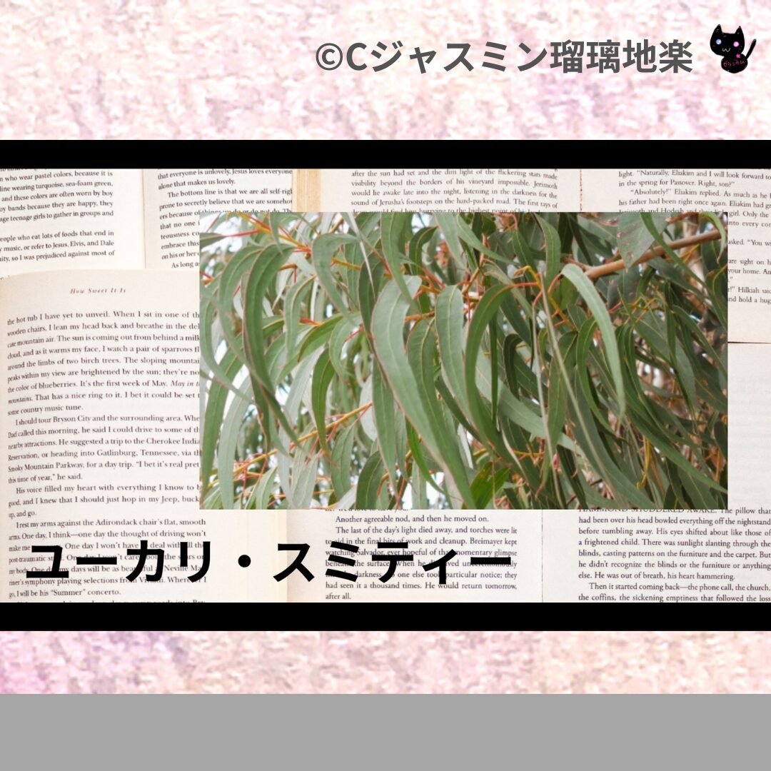 ユーカリ・スミティーのアロマハーブプチ辞典クイズ用アイキャッチ＠botanical-study