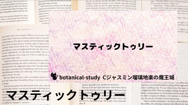マスティックトゥリー:プチ辞典