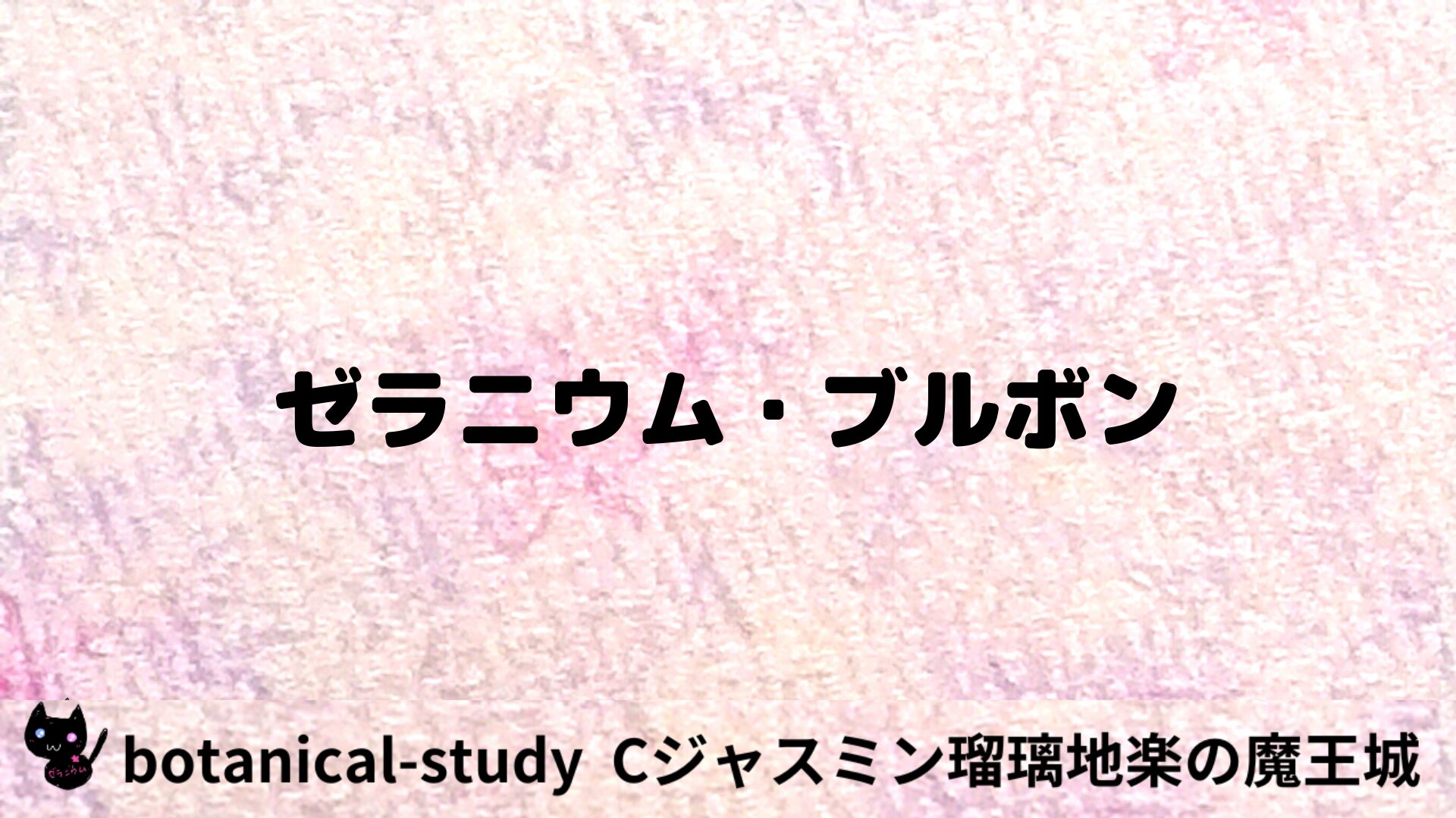 ゼラニウム・ブルボンのアロマハーブプチ辞典用アイキャッチ＠botanical-study