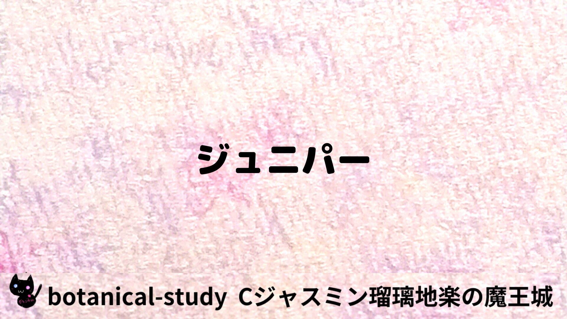 ジュニパーのアロマハーブプチ辞典用アイキャッチ＠botanical-study/ハーブ