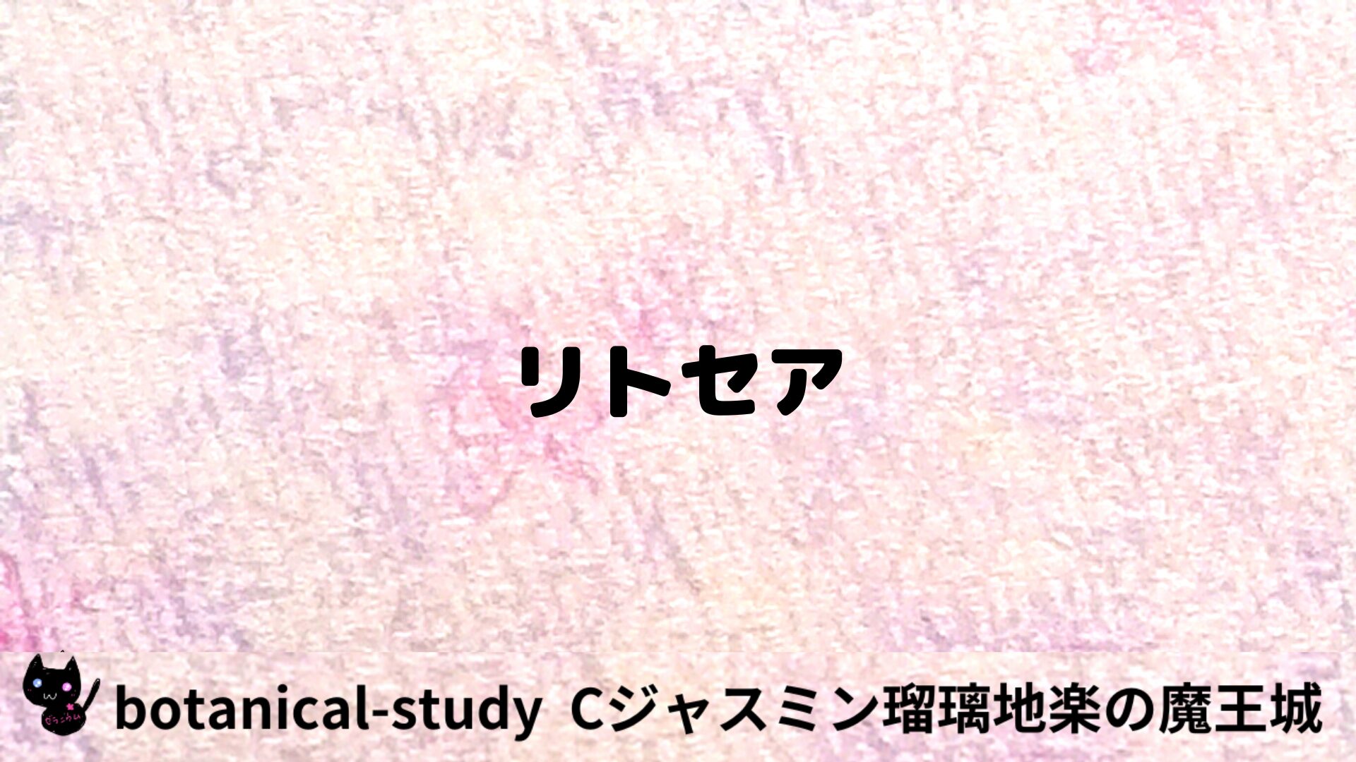 リトセアのアロマハーブプチ辞典用アイキャッチ＠botanical-study