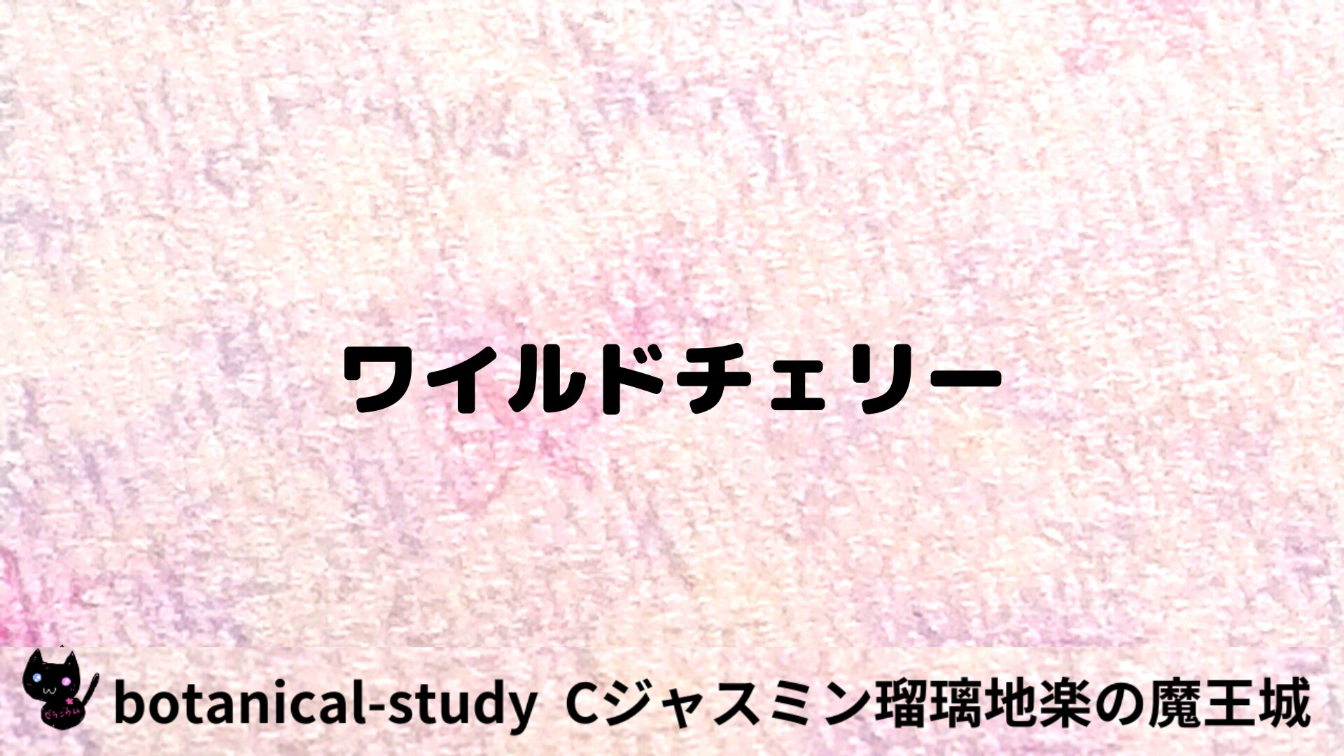 ワイルドチェリーのアロマハーブプチ辞典用アイキャッチ＠botanical-study/ハーブ