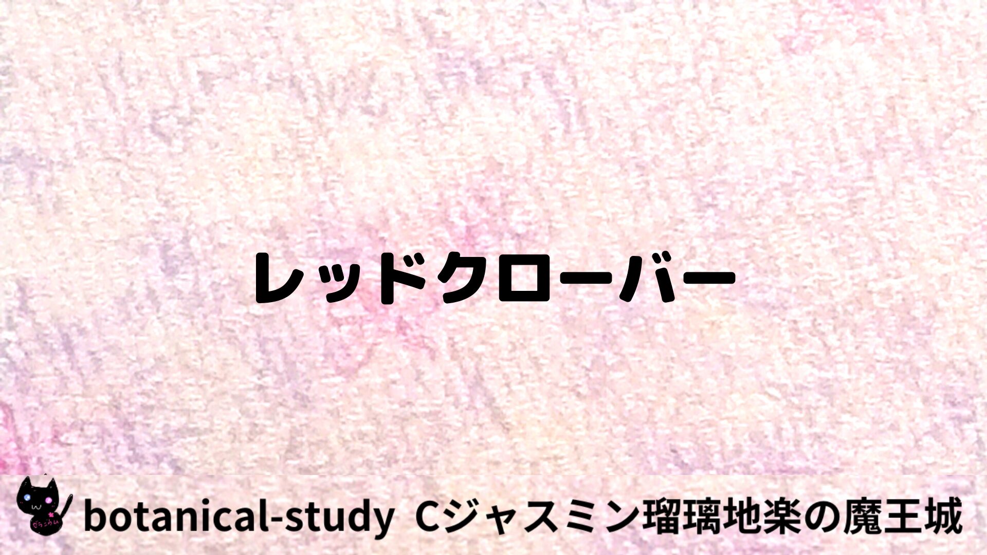 レッドクローバーのアロマハーブプチ辞典用アイキャッチ＠botanical-study/ハーブ